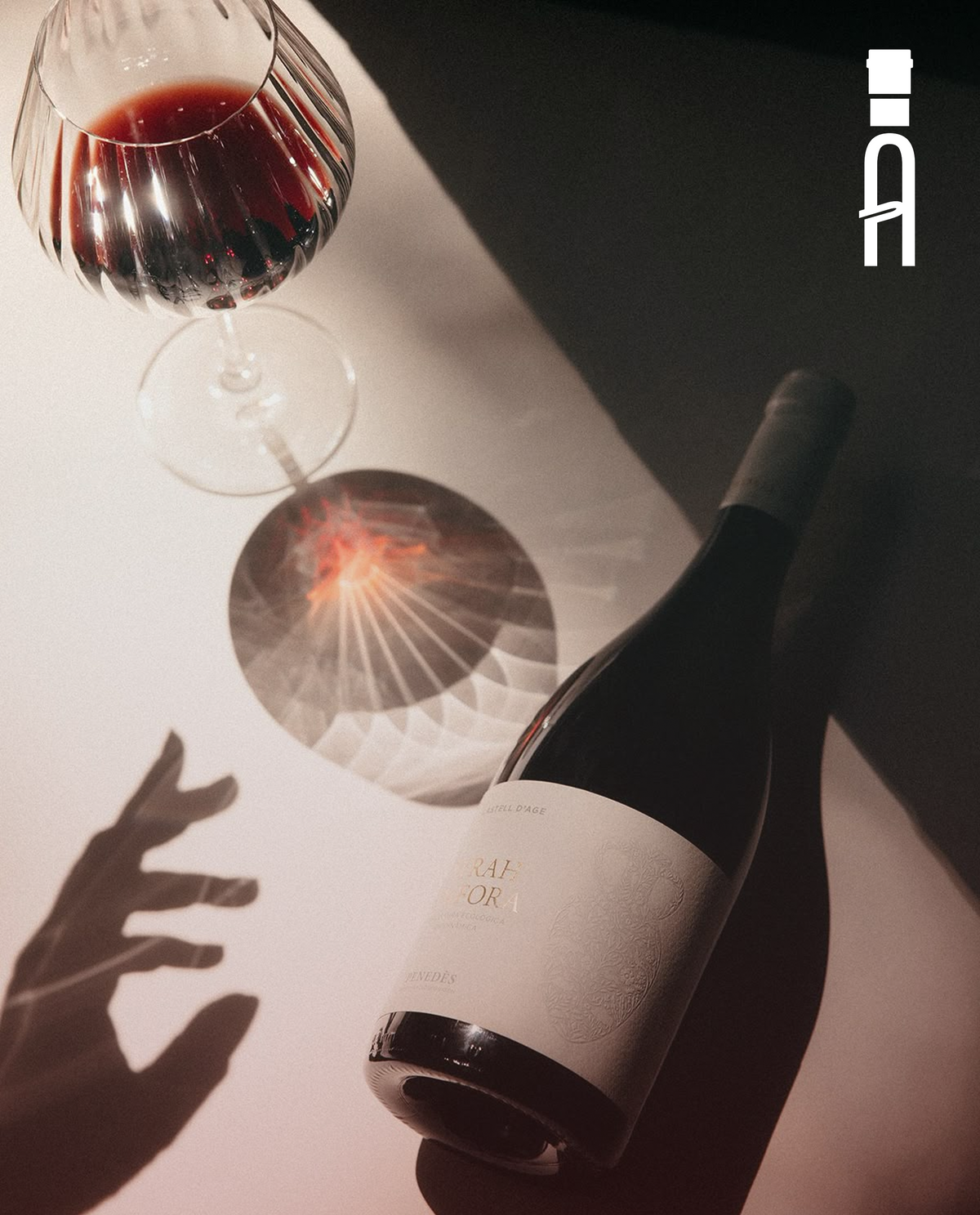 Historia y Cultura del Vino